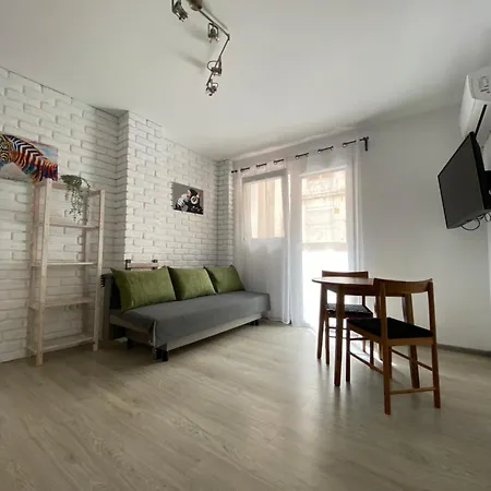 Apartment Cozy With Balcony